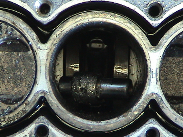DSC01089.JPG