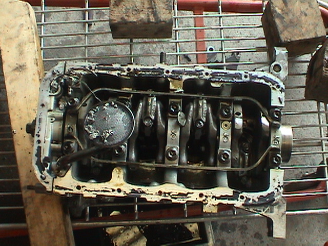 DSC01096.JPG