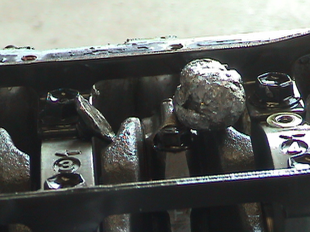 DSC01098.JPG