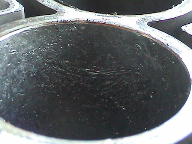 xDSC01095.JPG