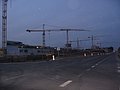 IMG_2847.JPG