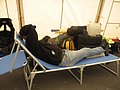 IMG_2991.JPG