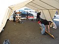 IMG_3177.JPG
